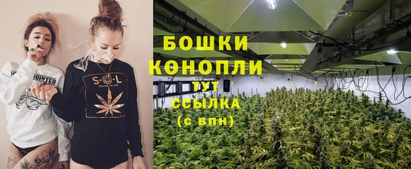бошки Бердск