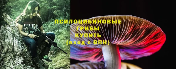 PSILOCYBIN Горнозаводск