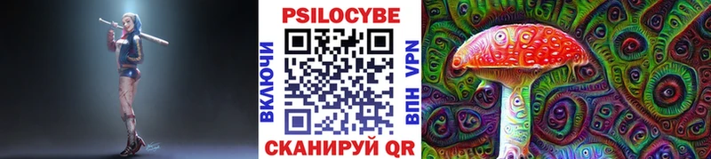 где продают Карабулак Галлюциногенные грибы Cubensis