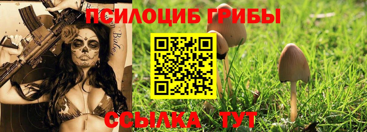 Псилоцибиновые грибы прущие грибы Карабулак