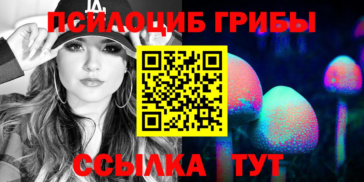 Карабулак  Галлюциногенные грибы Cubensis  Вход с VPN 